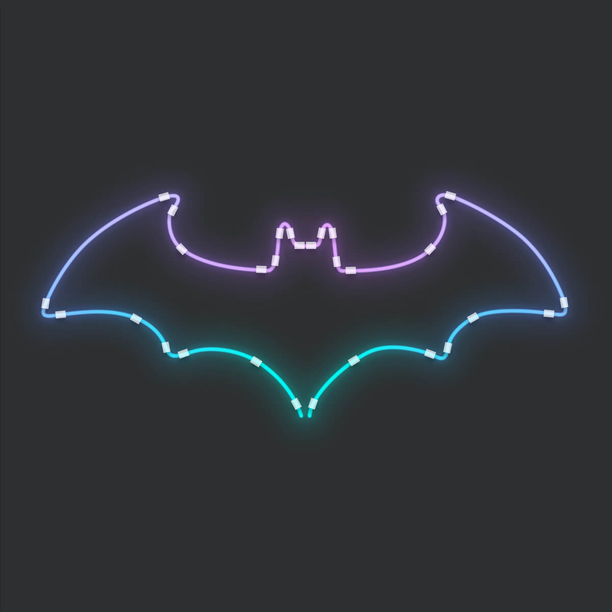 corde-lumière-inspiration-bat